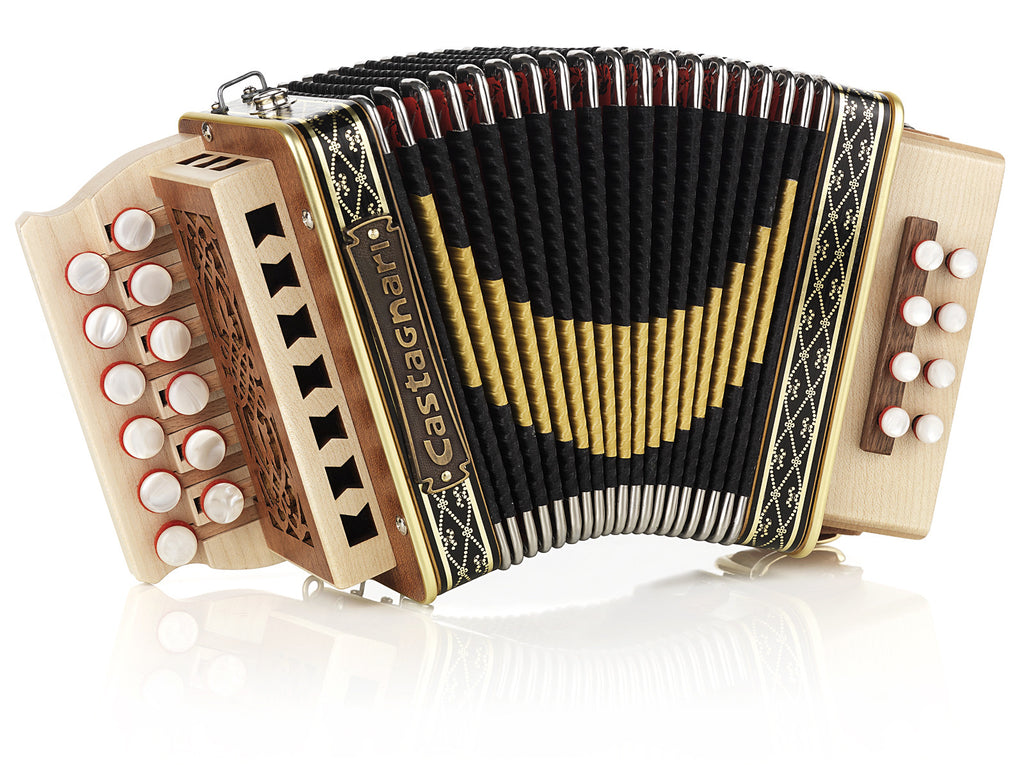 Castagnari melodeon deals for sale